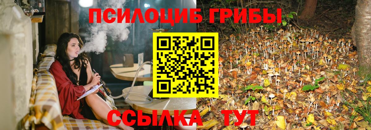 Галлюциногенные грибы прущие грибы Чебаркуль