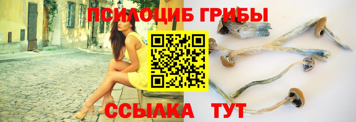 Чебаркуль  Псилоцибиновые грибы мицелий  Галлюциногенные грибы прущие грибы  Вход с VPN 